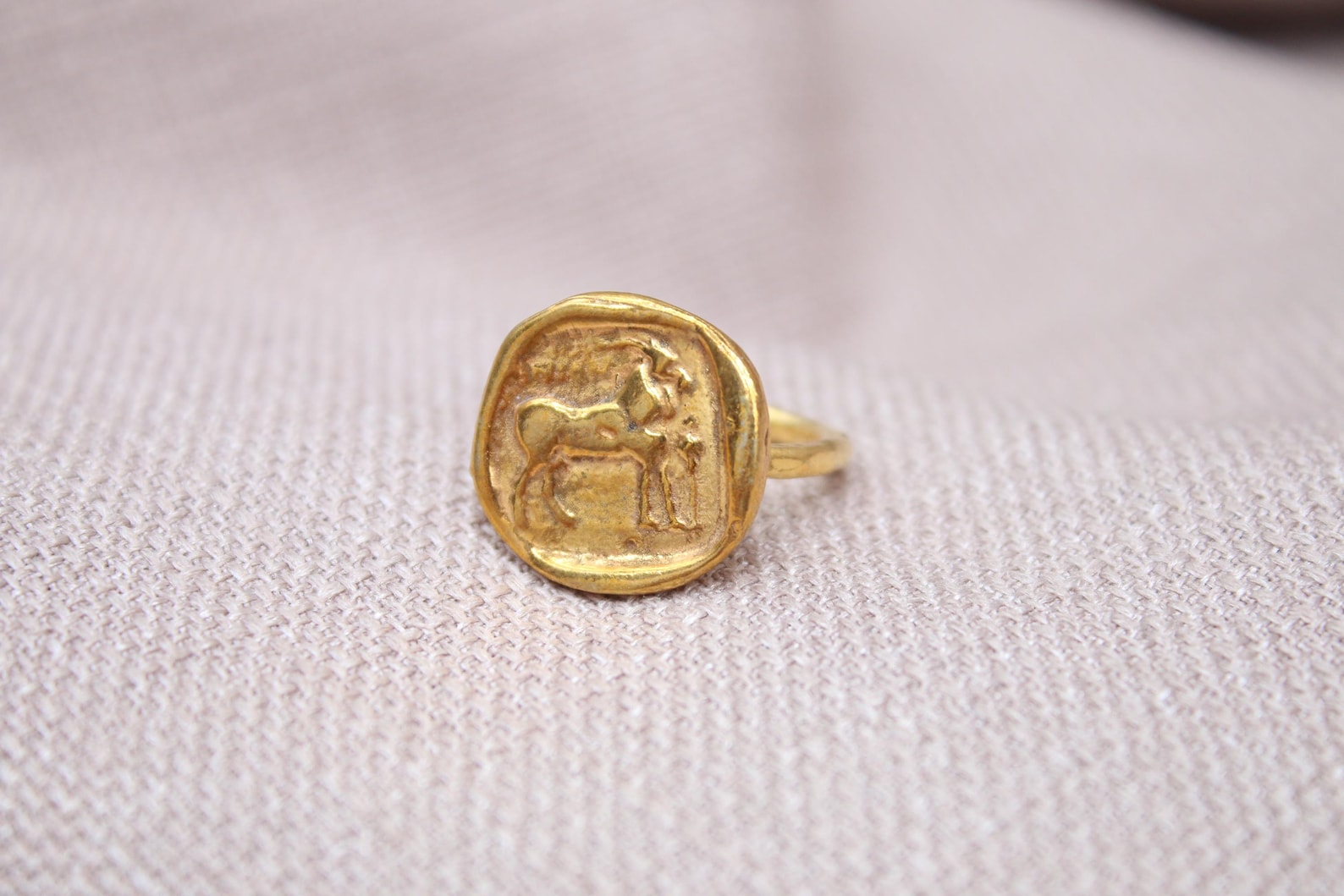 Handmade Goat Coin Ring Sterling Silver Signet Ring Animal Symbol Jewelry